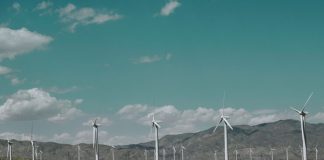 Renewable Energy